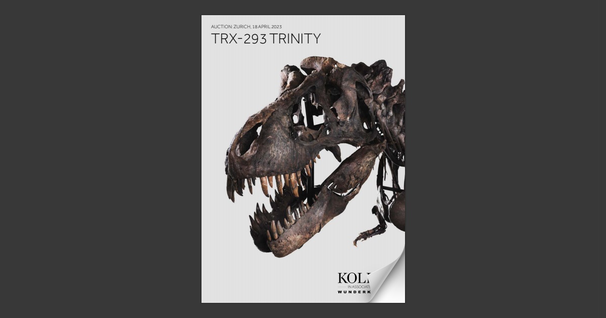 KOLLER TRX-293 TRINITY 18 April 2023
